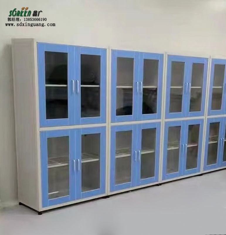 實(shí)驗(yàn)室器皿柜