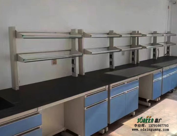 山東實驗室建設(shè) 鋼木實驗臺 化學鋁玻試劑架