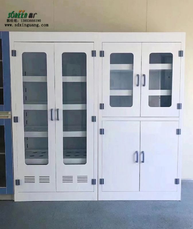 山東實(shí)驗(yàn)室家具pp試劑柜器皿柜實(shí)驗(yàn)室安全柜