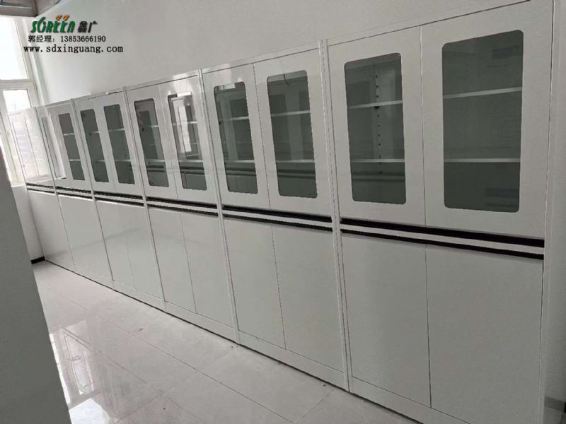 濟(jì)南實(shí)驗(yàn)臺(tái)廠家 全鋼器皿柜 實(shí)驗(yàn)室試劑柜可定制