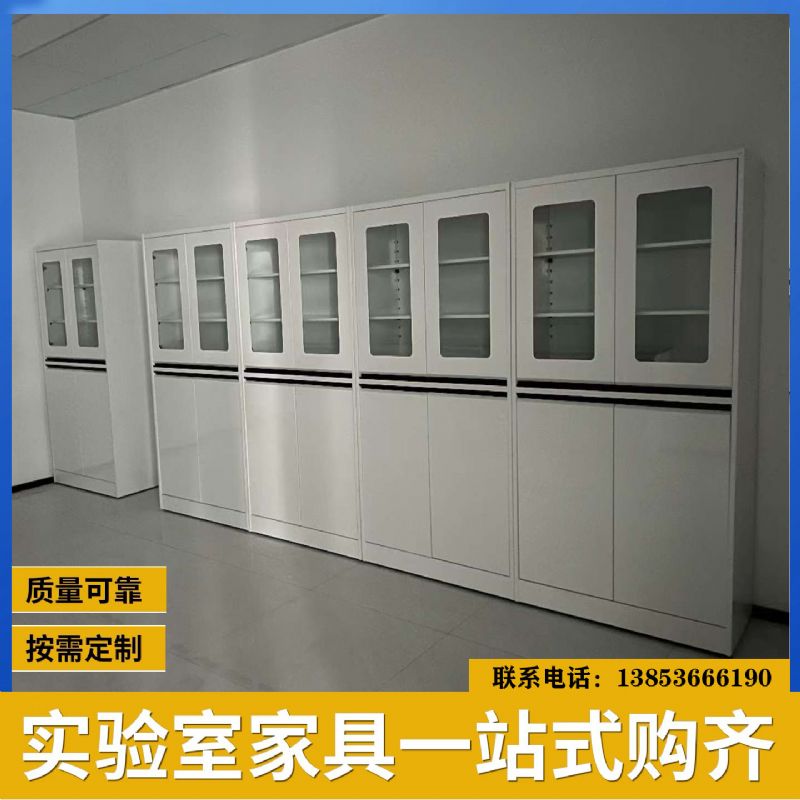 山東實(shí)驗(yàn)臺(tái)試劑柜器皿柜 實(shí)驗(yàn)室儀器柜 防腐耐用