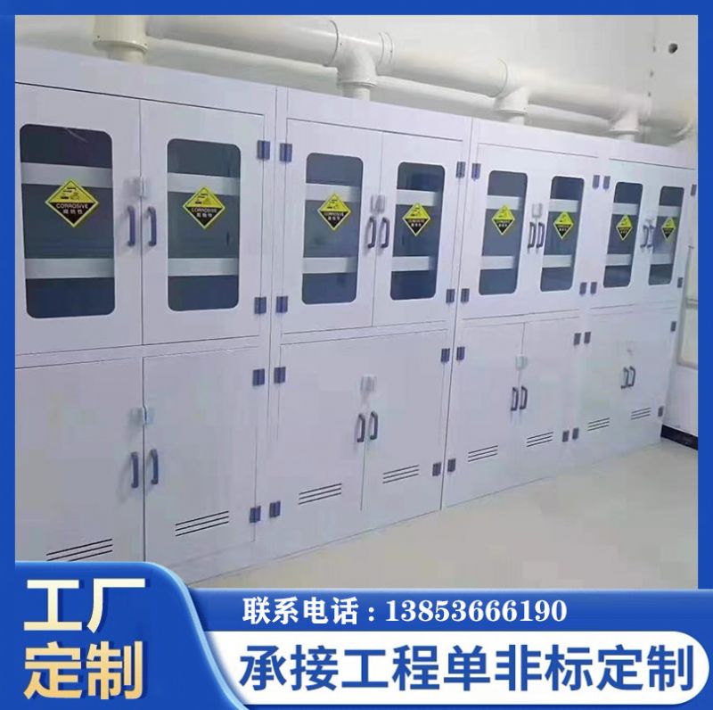 PP器皿柜 實驗室試劑柜雙鎖防腐蝕器強(qiáng)酸堿儲存柜