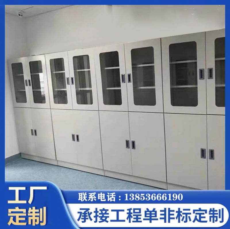 山東實驗臺廠家全鋼器皿柜化學(xué)品柜 存儲柜