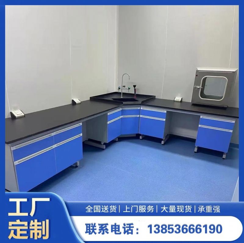 山東實(shí)驗(yàn)室家具 鋼木試驗(yàn)臺(tái)通風(fēng)櫥柜定制